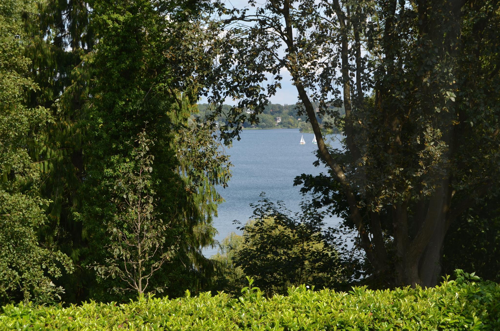 Blick_direkt_hinter_dem_Haus